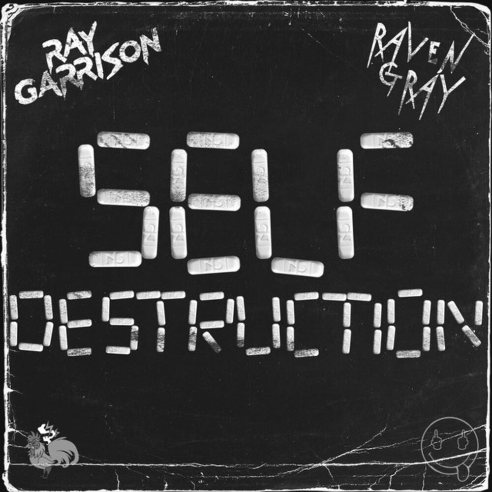 Picture of Self Destruction