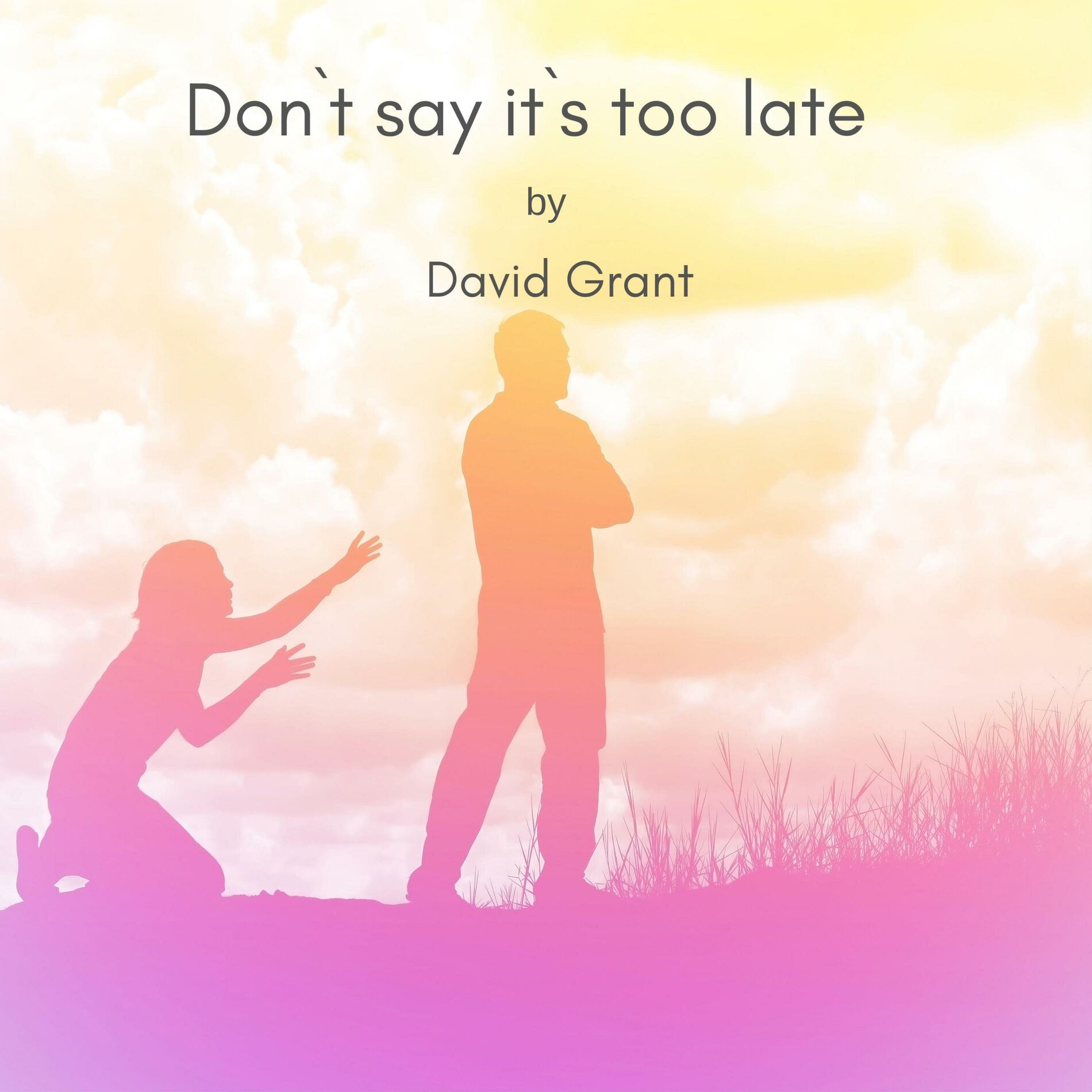 Album cover of Don`t say it`s too late