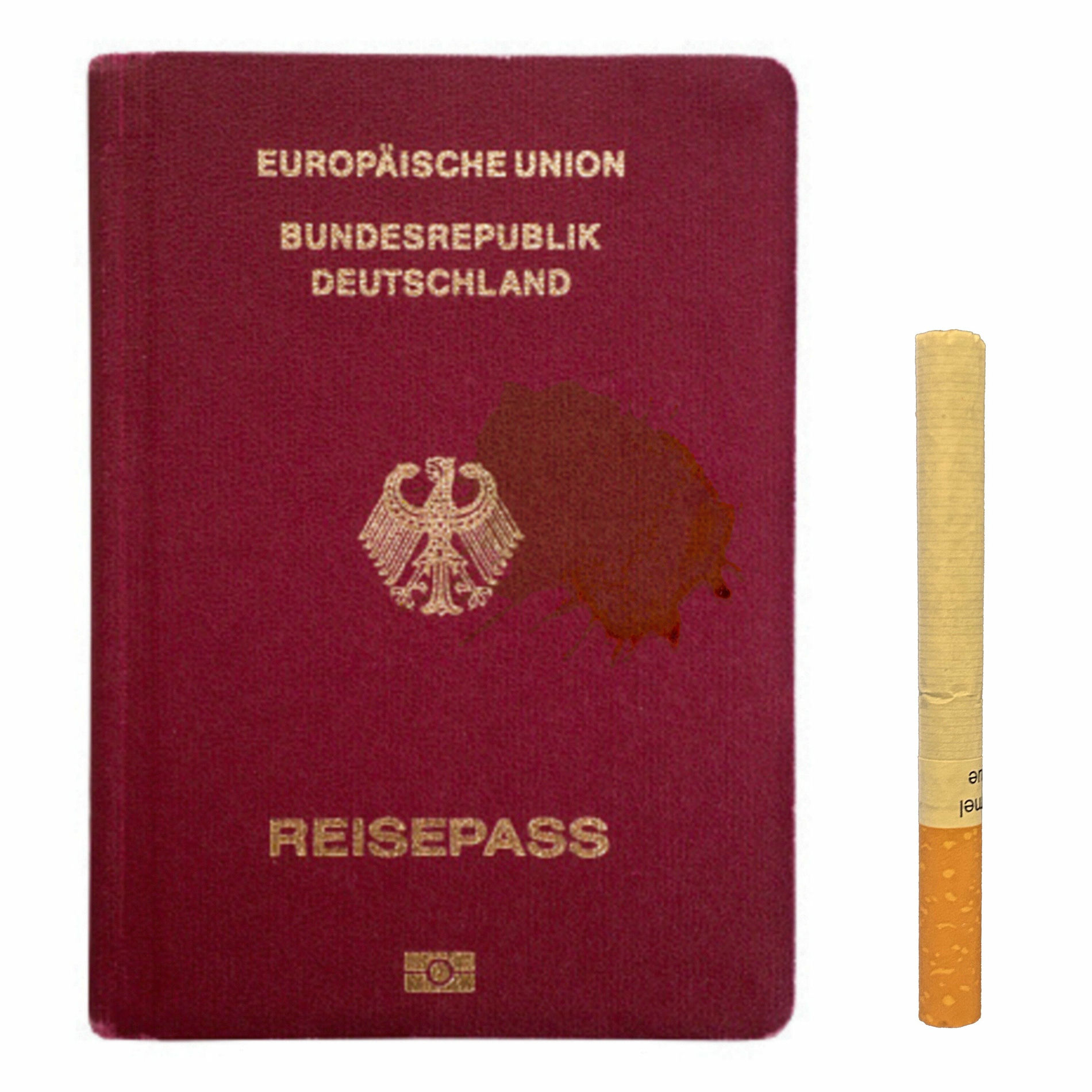 Album cover of Bruder + Schwester