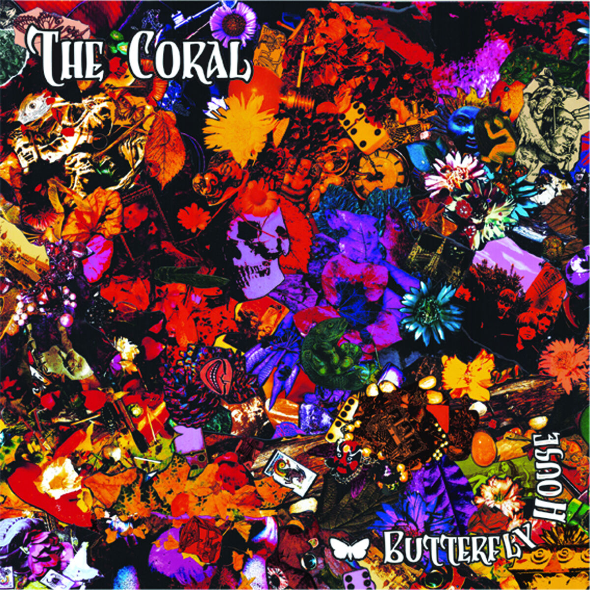 Album cover of Butterfly House