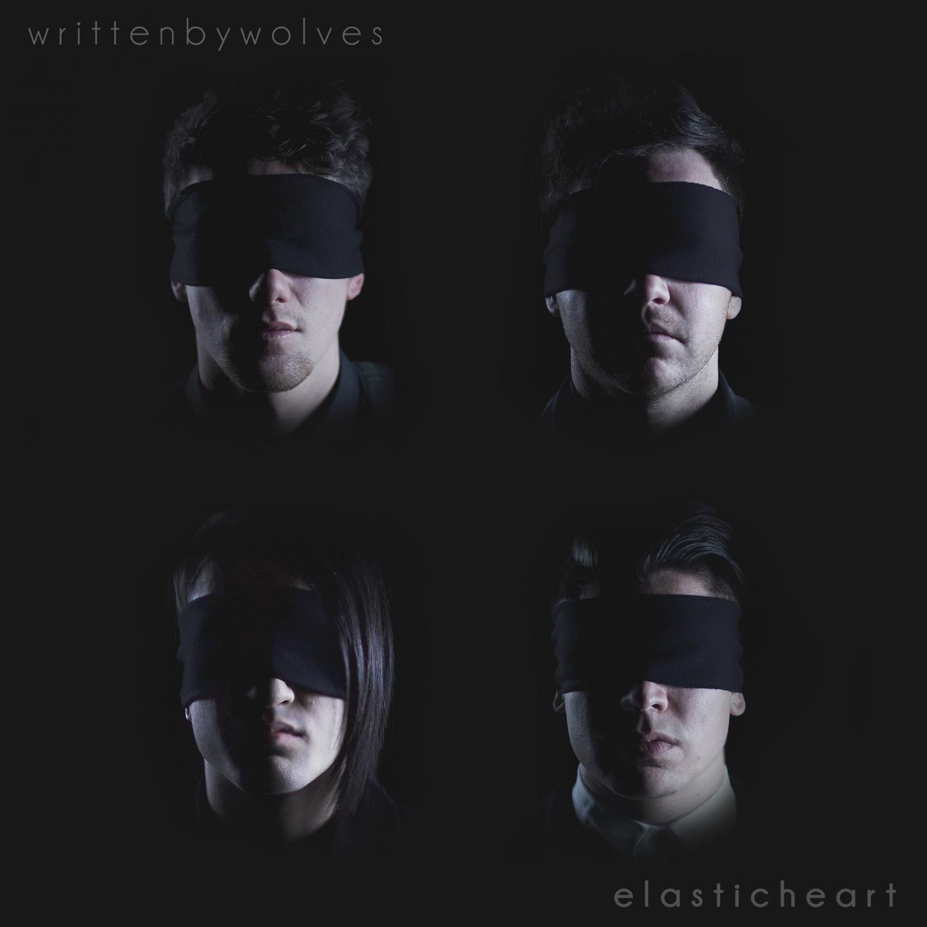Album cover of Elastic Heart