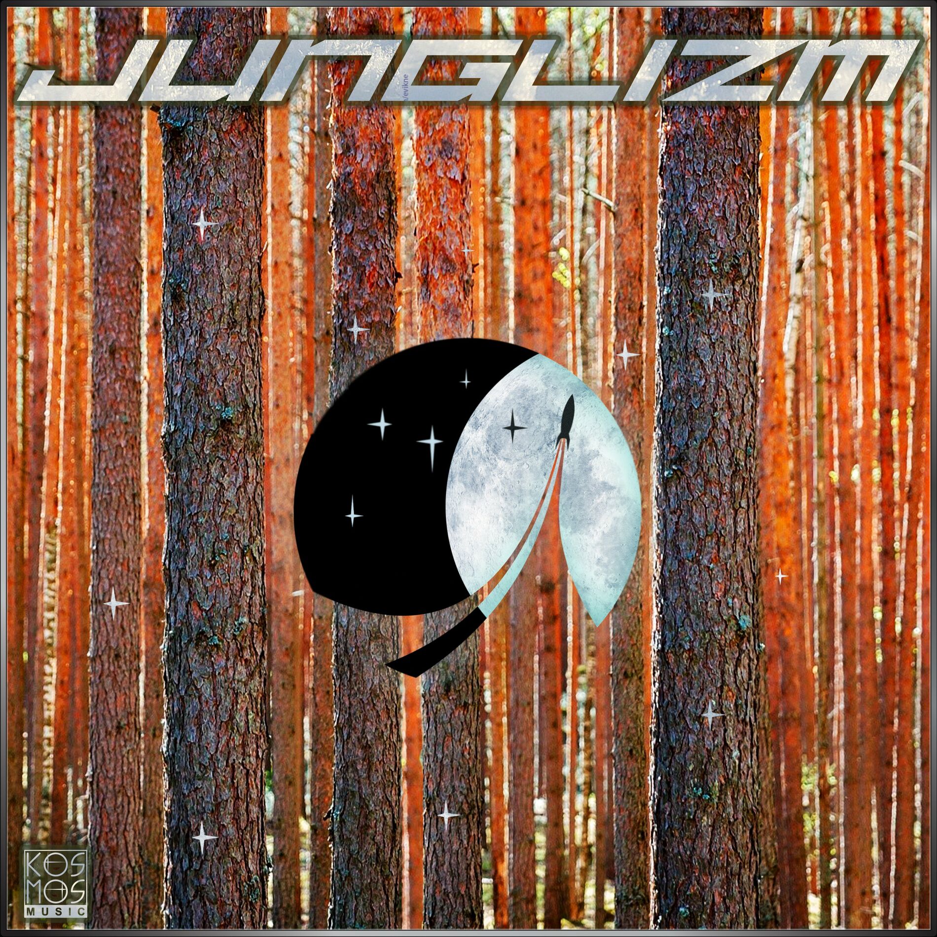 Album cover of Junglizm V.2
