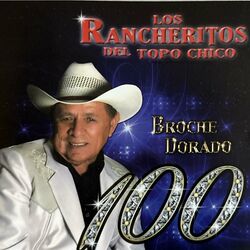 Cover of Broche Dorado