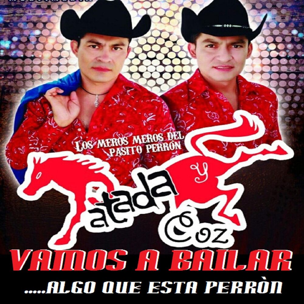 Picture of Vamos A Bailar Algo Que Esta Perron