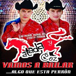 Cover of Vamos A Bailar Algo Que Esta Perron