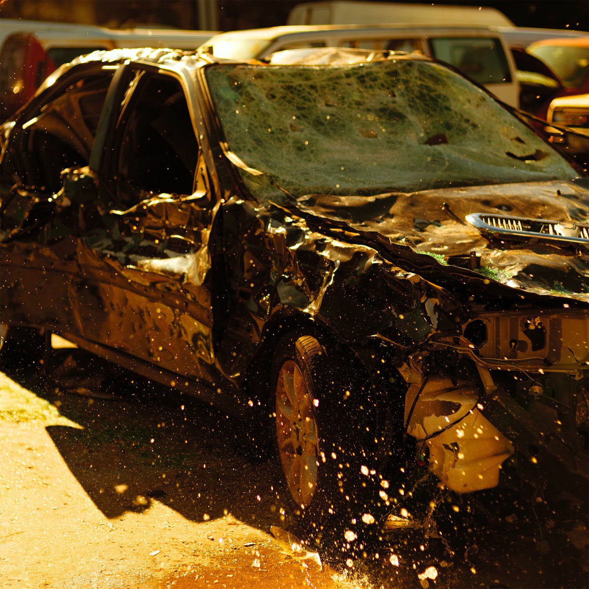 Album cover of WTF BÖY!