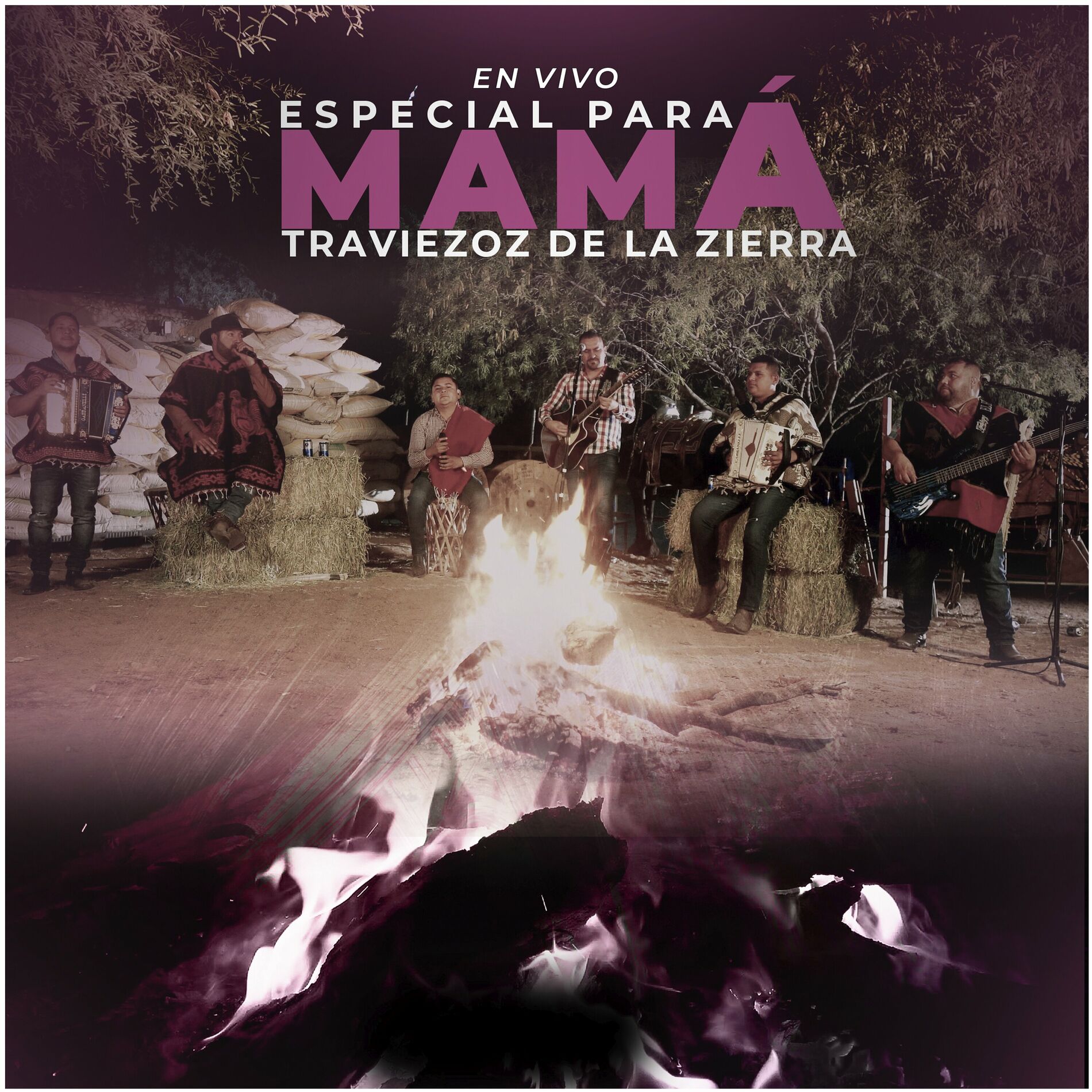 Album cover of En Vivo, Especial Para Mamá