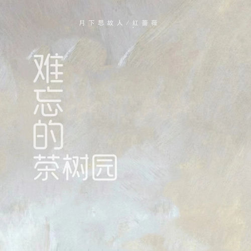 难忘的茶树园