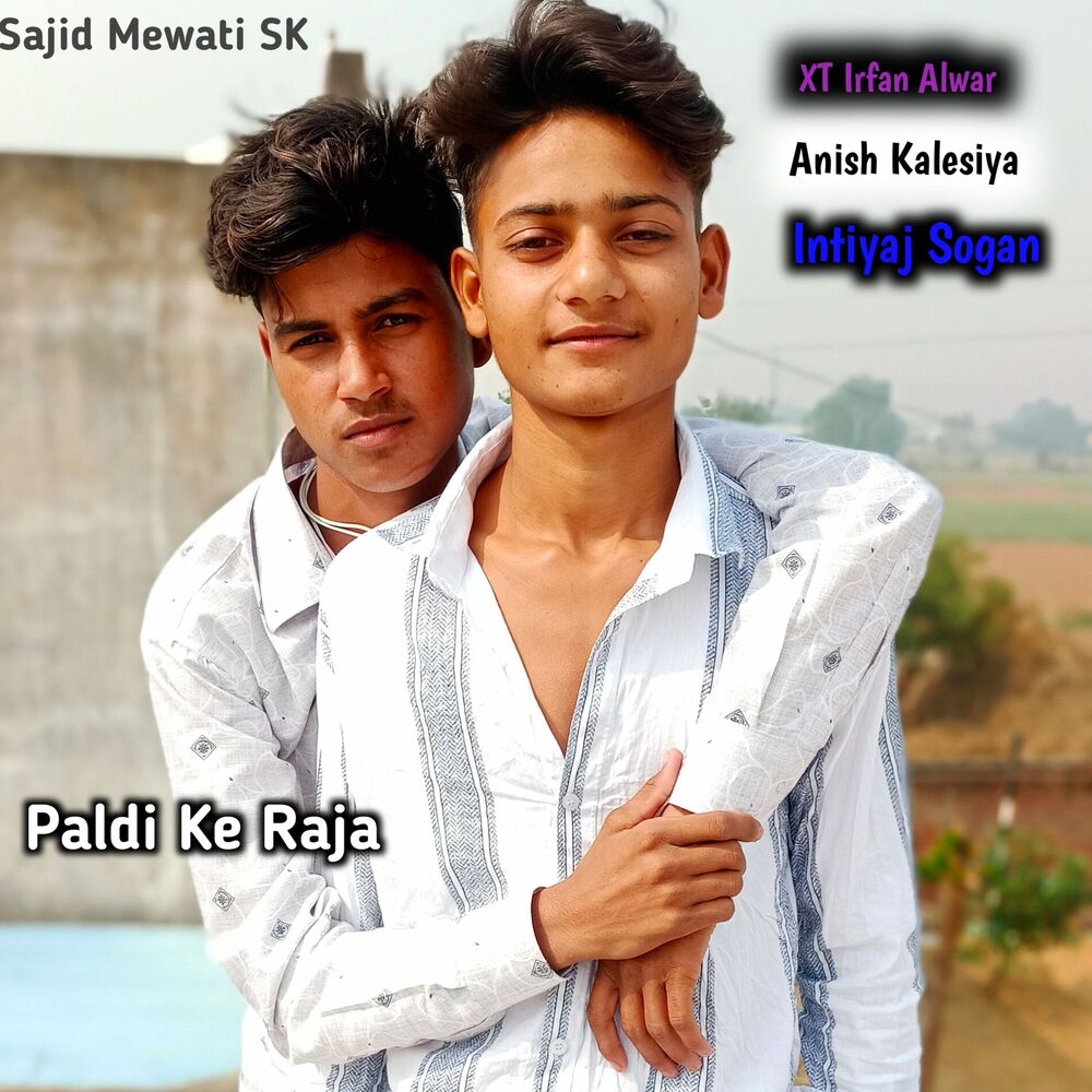 Picture of Paldi Ke Raja