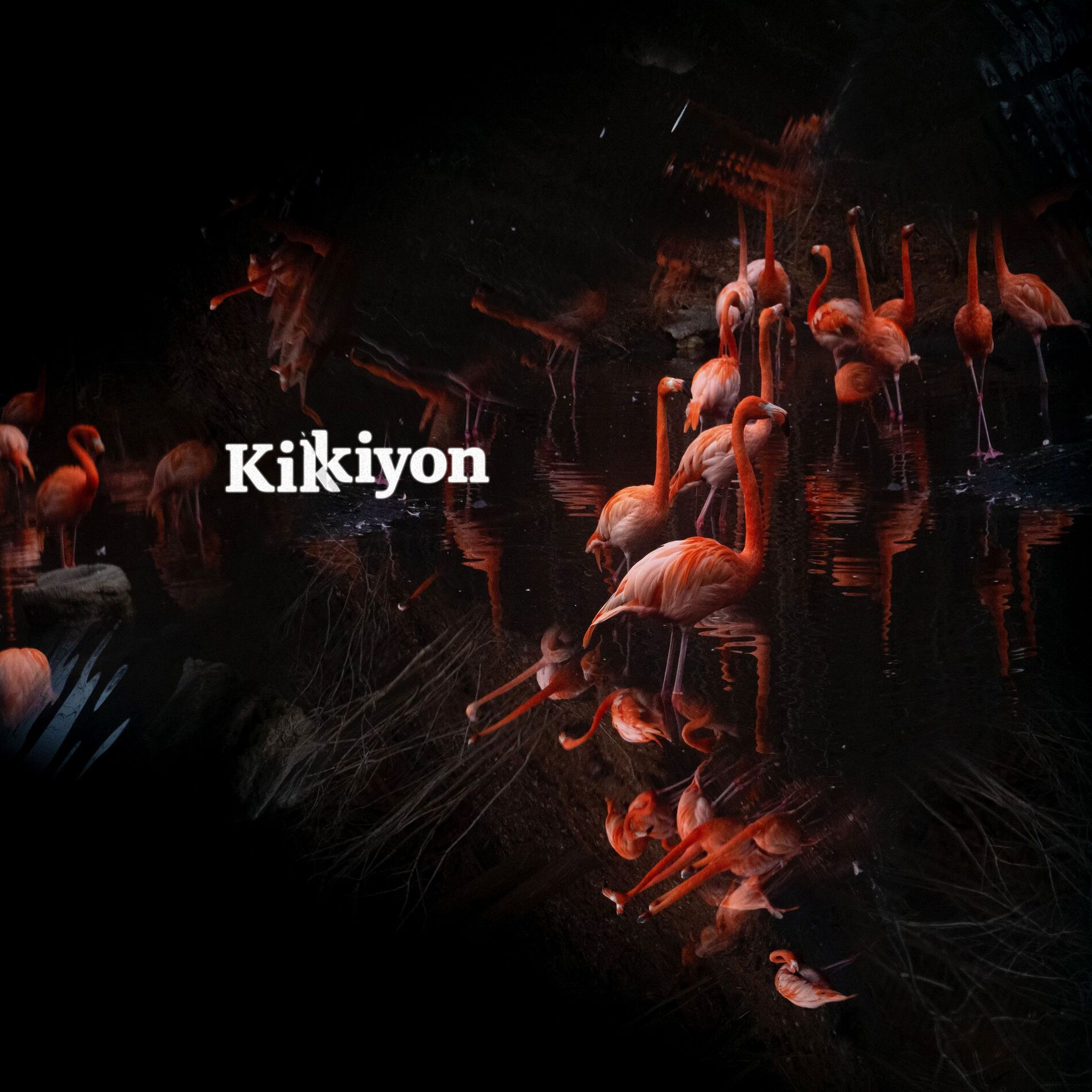 Album cover of Kikiyon