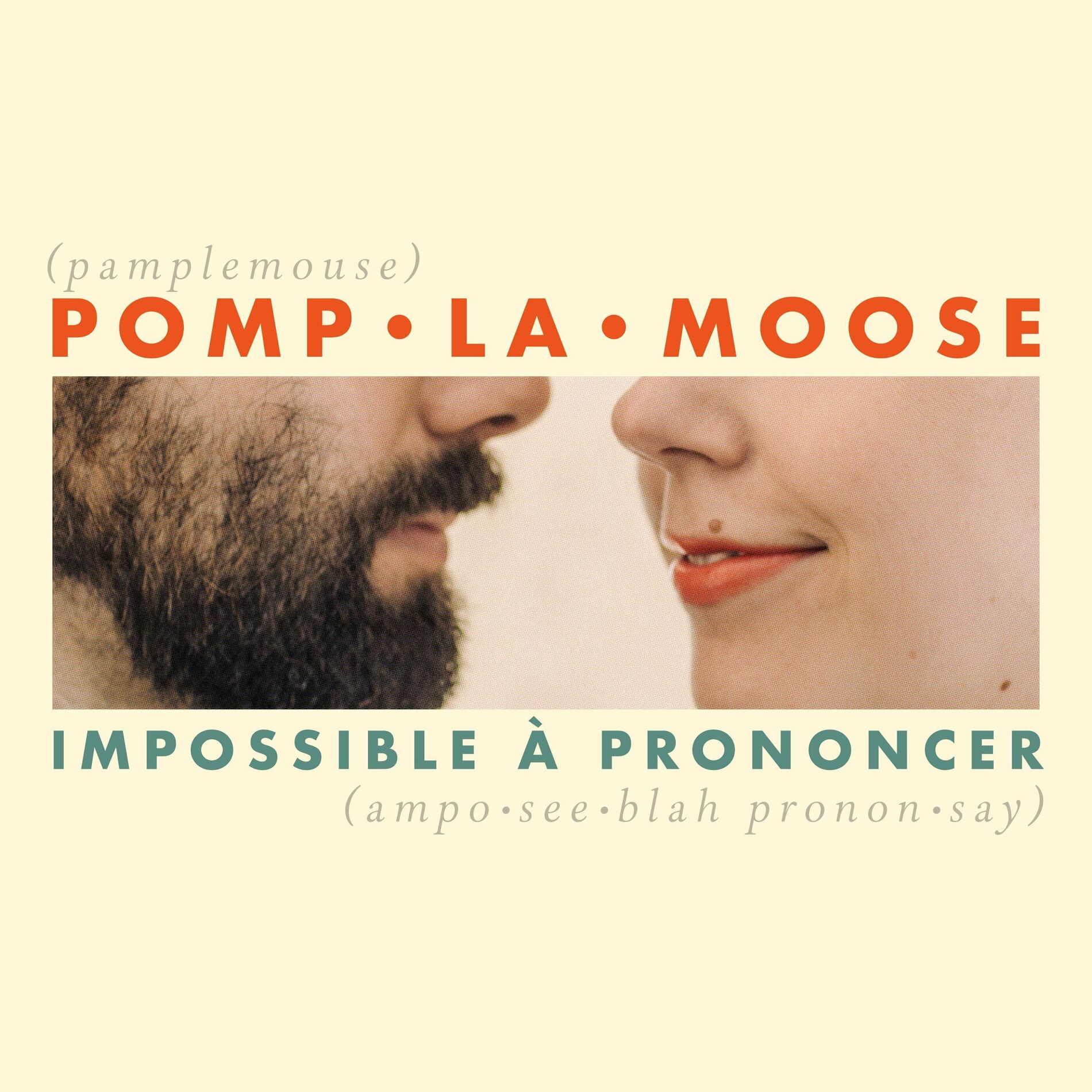Album cover of Chanson sur ma drôle de vie