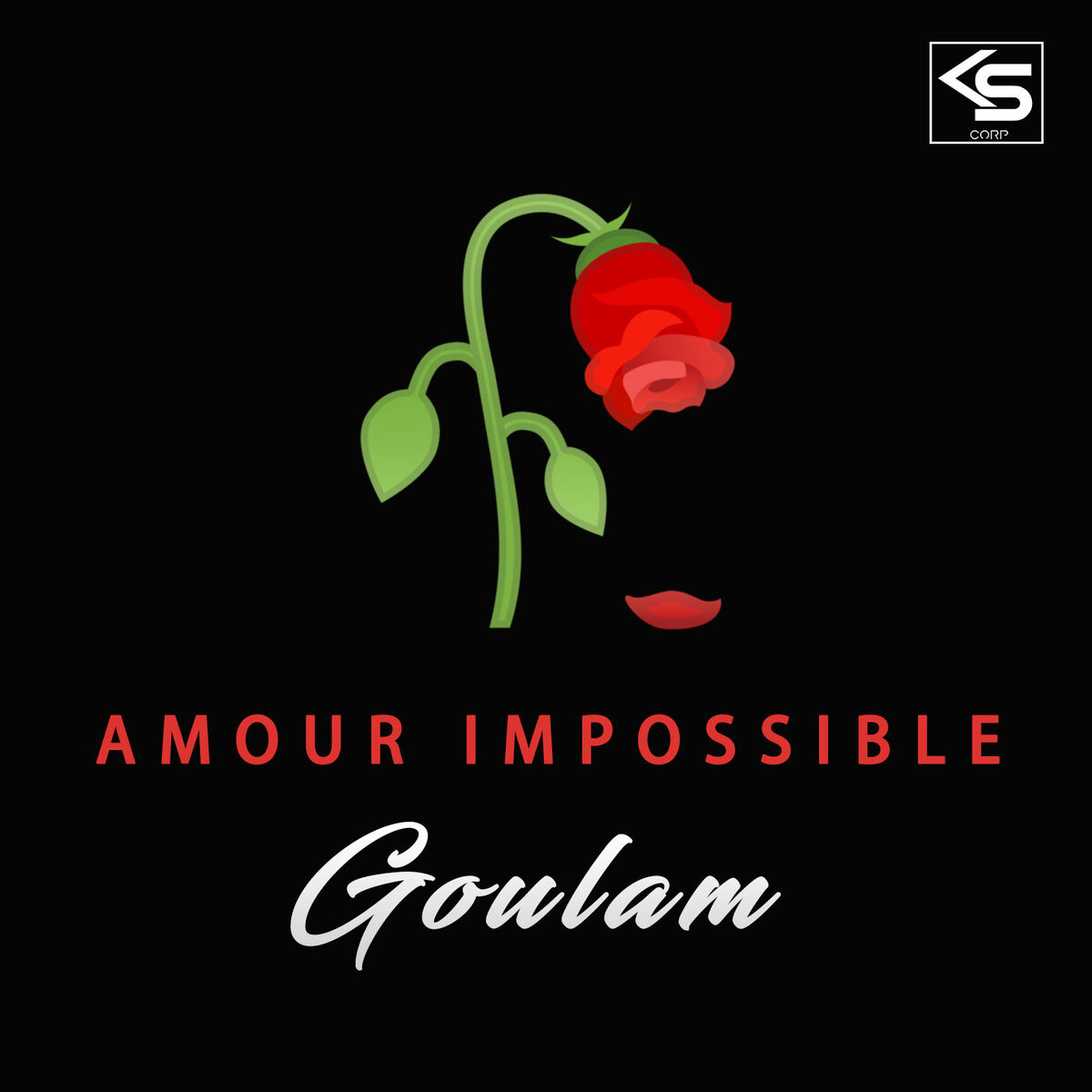 Album cover of Amour Impossible