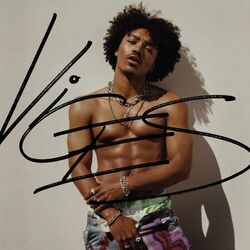 Cover of VICES