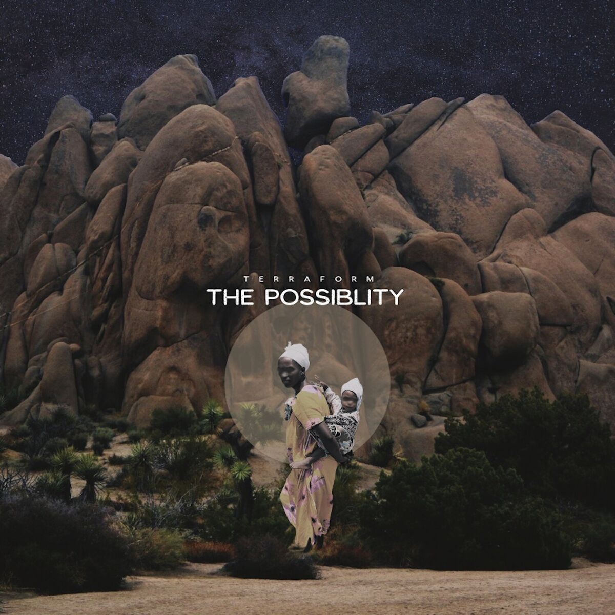 Album cover of Terraform: The Possibility