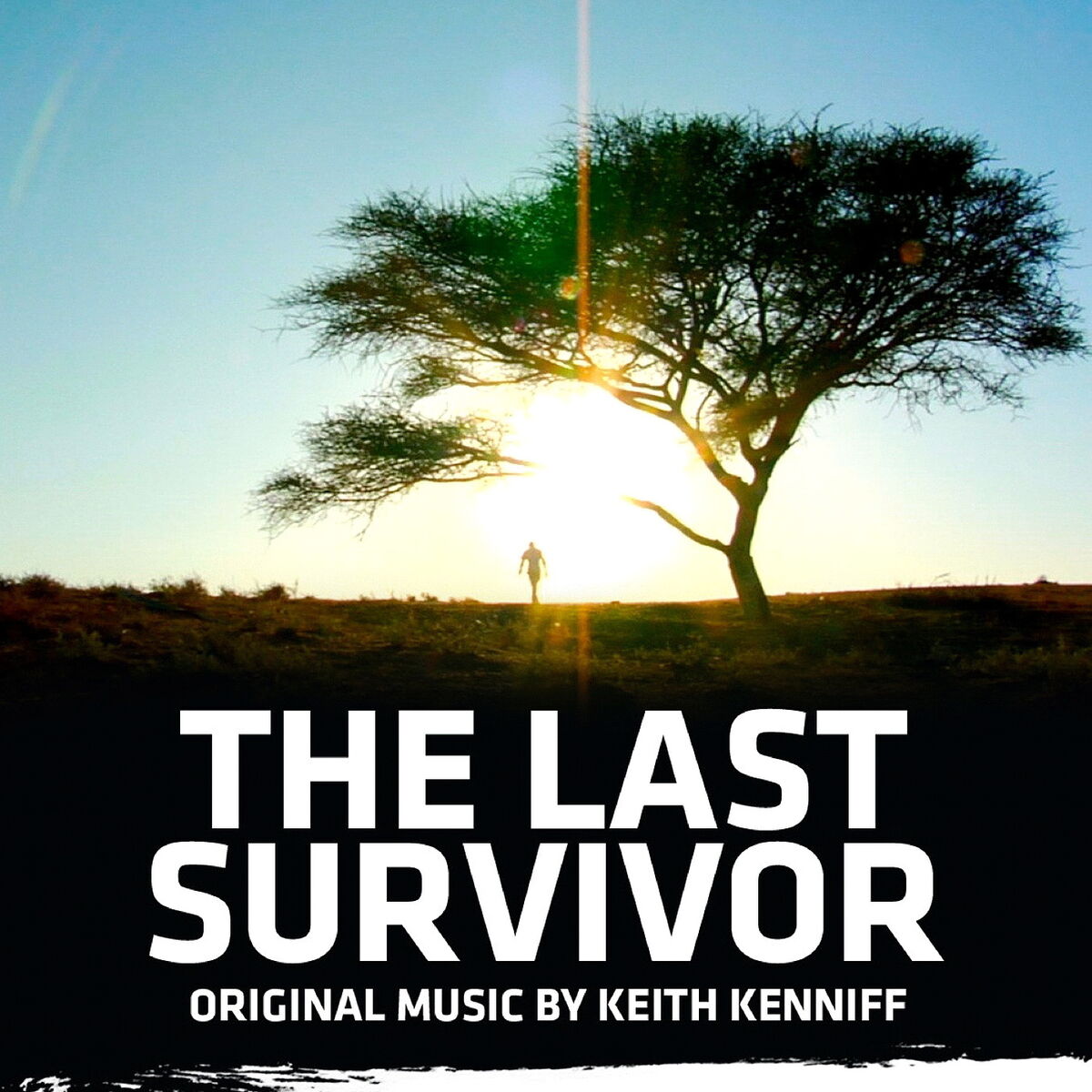 Album cover of The Last Survivor