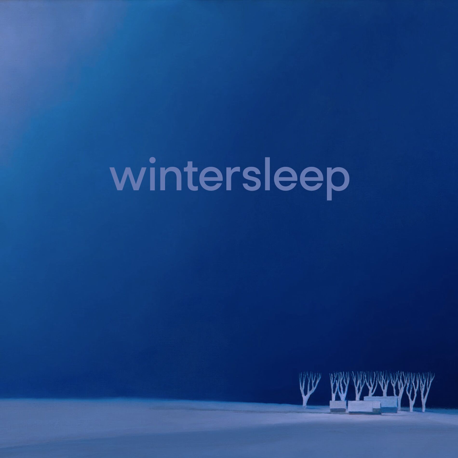 Album cover of Wintersleep