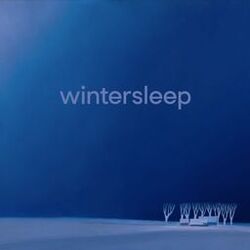 Cover of Wintersleep
