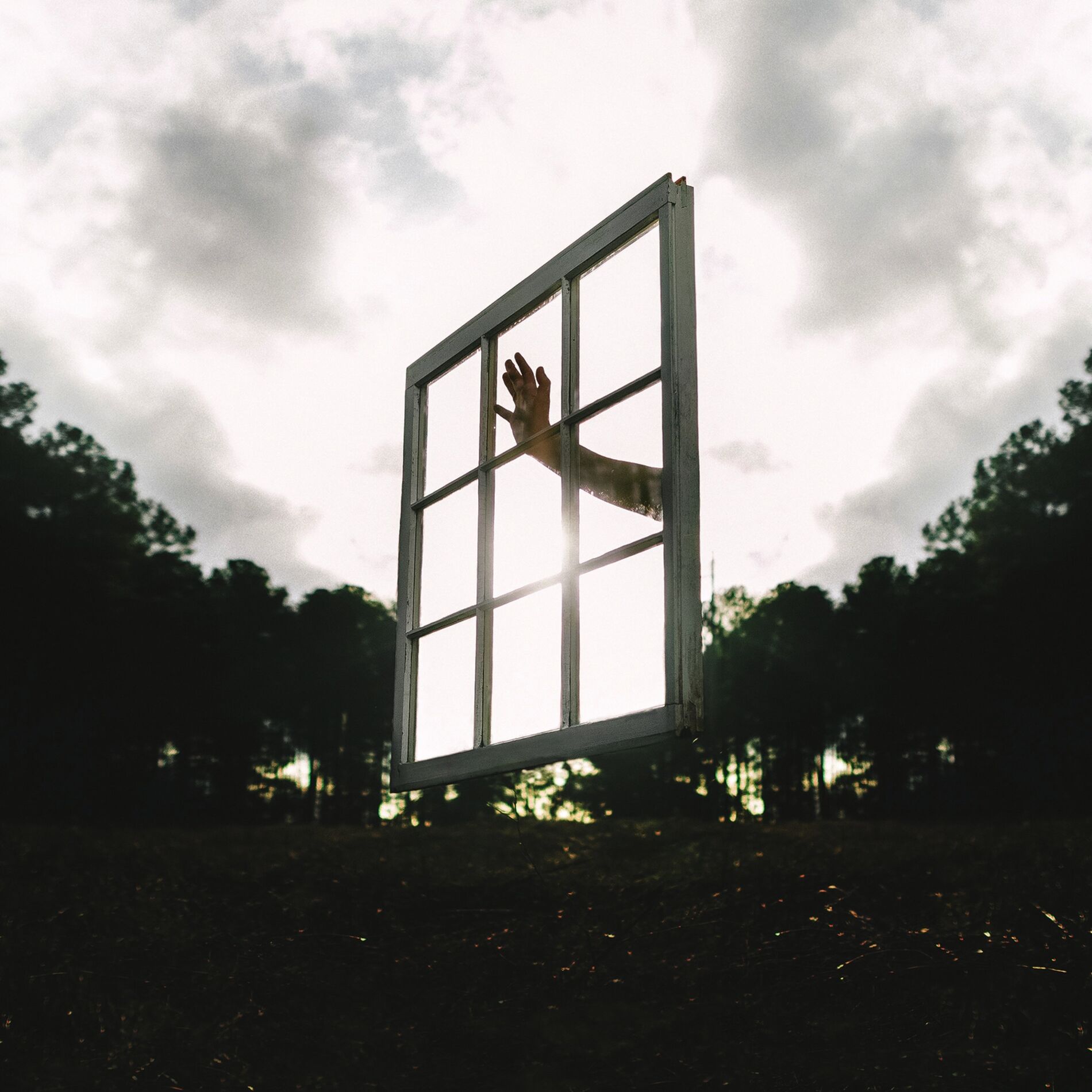 Album cover of From Your Window