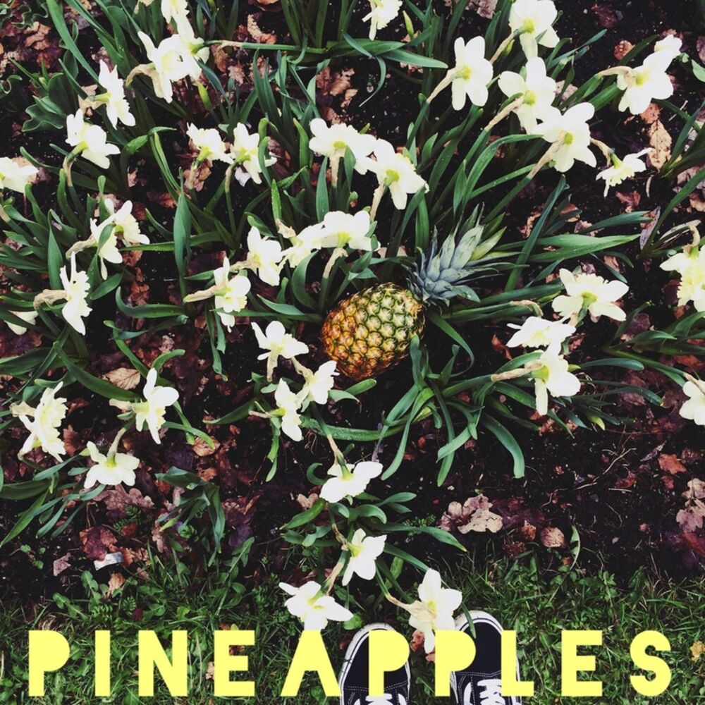 Picture of Pineapples