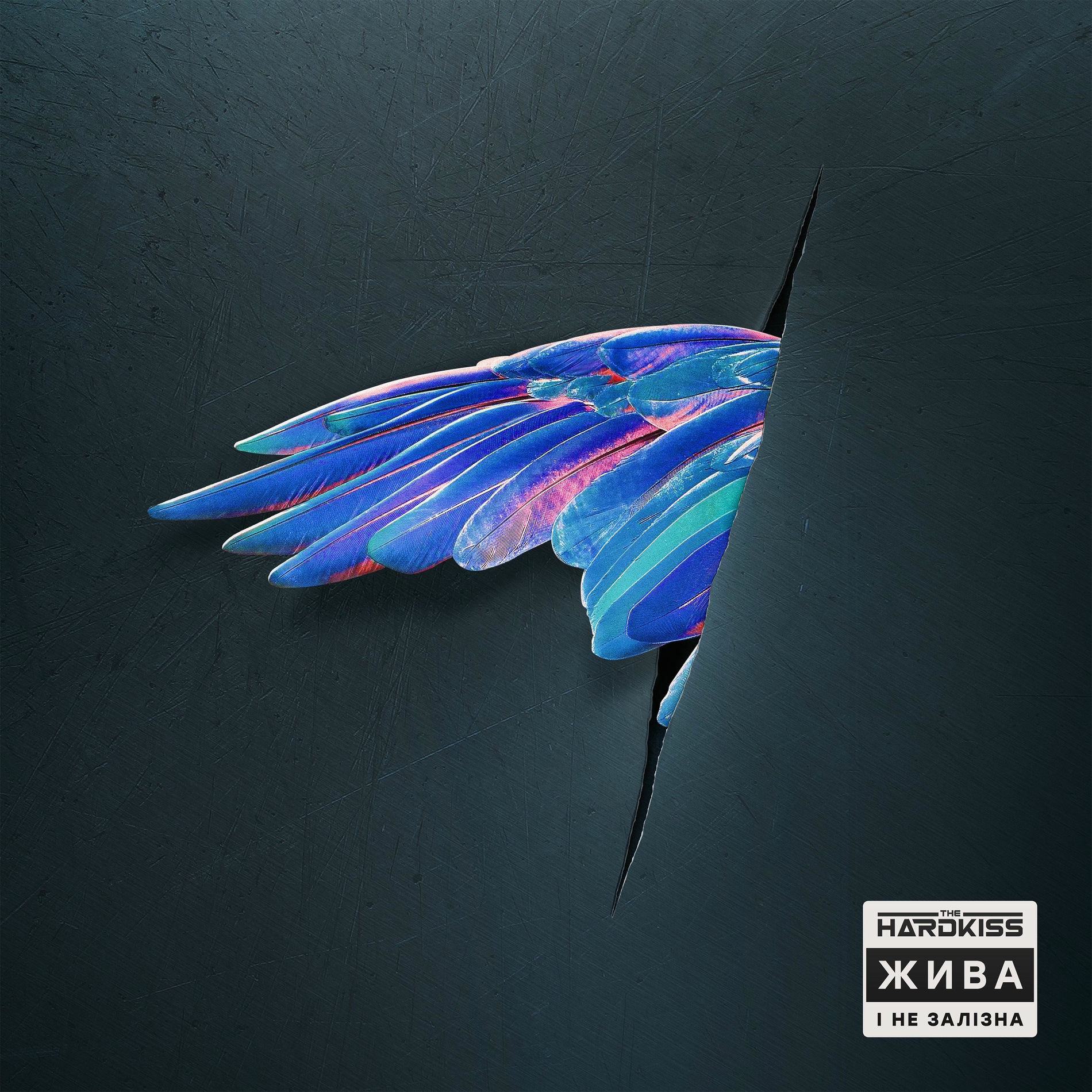 Album cover of Жива і не залізна
