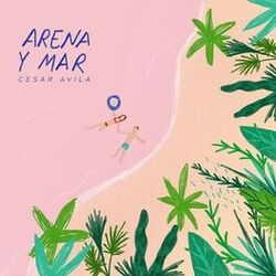 music cover