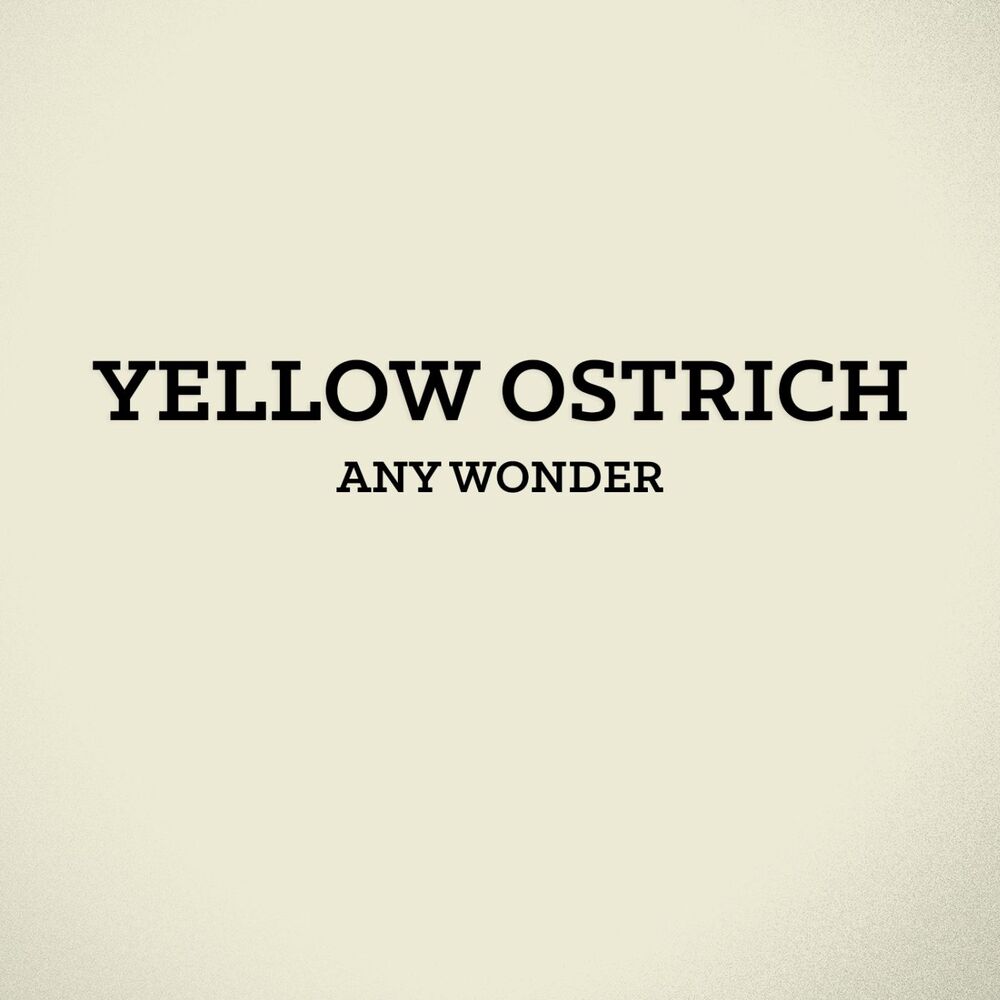 Picture of Any Wonder