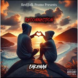 Cover of Reconnection