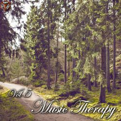 Cover of Music Therapy, Vol. 5