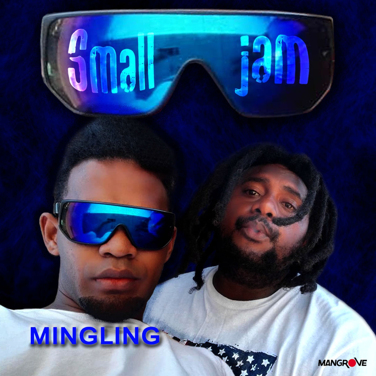 Album cover of Mingling