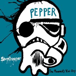 Cover of Stormtrooper (Kona Town Revisited)