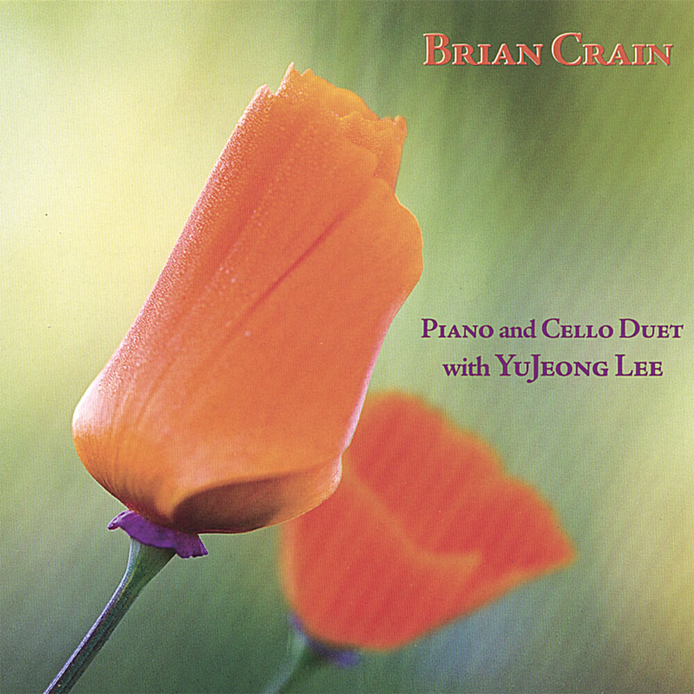 Picture of Piano and Cello Duet