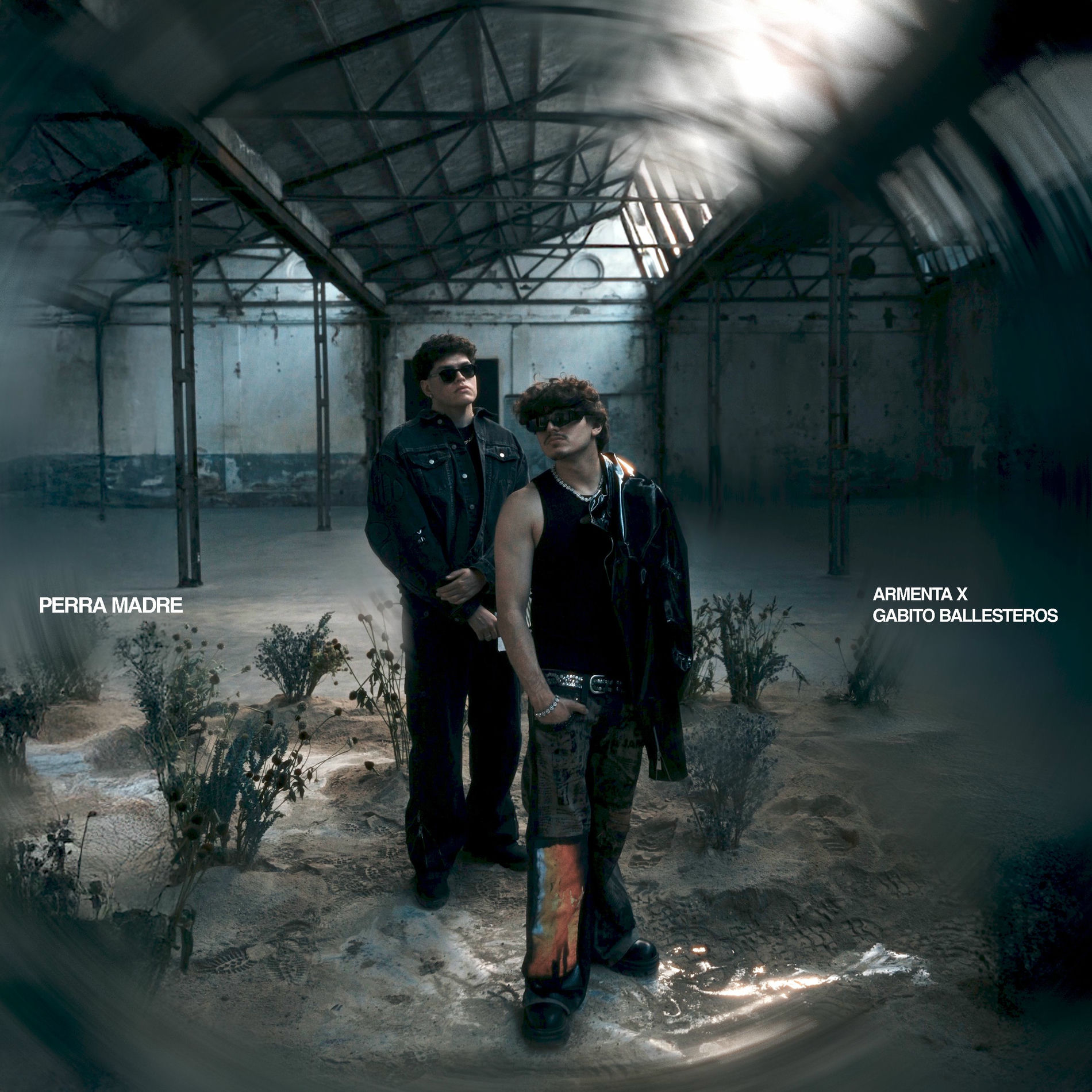 Album cover of PERRA MADRE