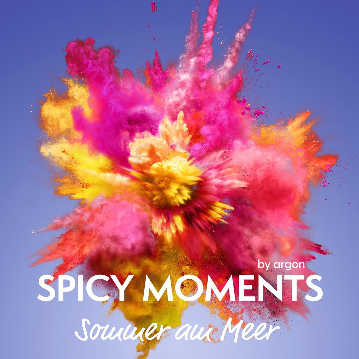 Album cover of Kapitel 1 - Der Sommer am Meer - Erotische Geschichte - spicy moments, Band 15