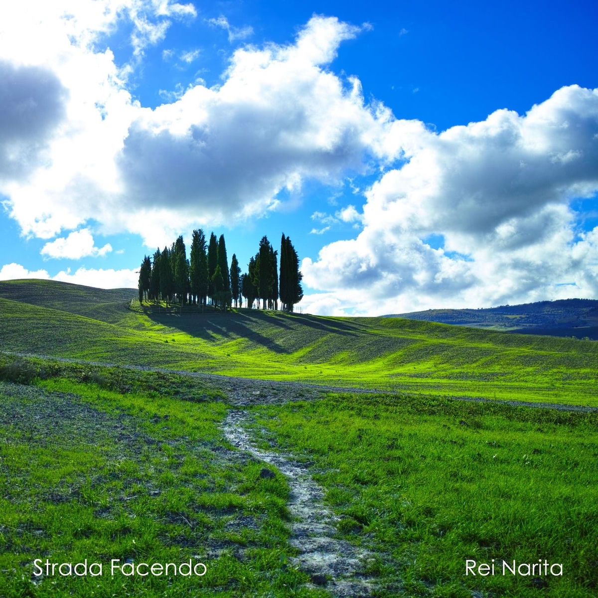 Album cover of Strada Facendo