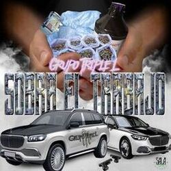 Cover of Sobra El Trabajo