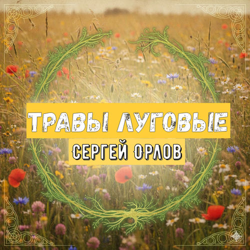 Sergei Orlov - Травы луговые | Deezer