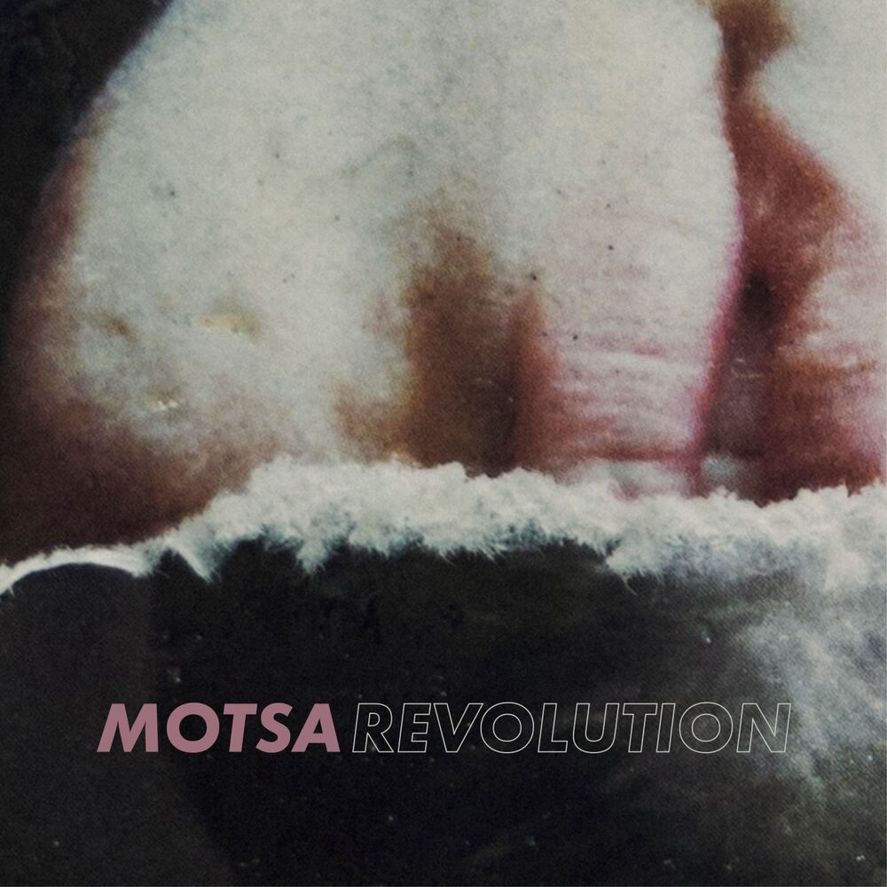 Picture of Revolution