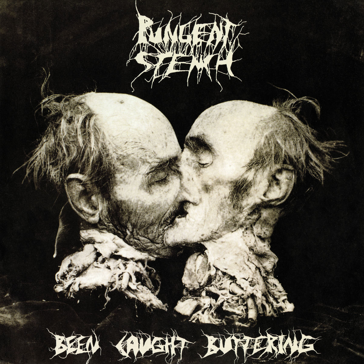 Album cover of Shrunken & Mummified Bitch