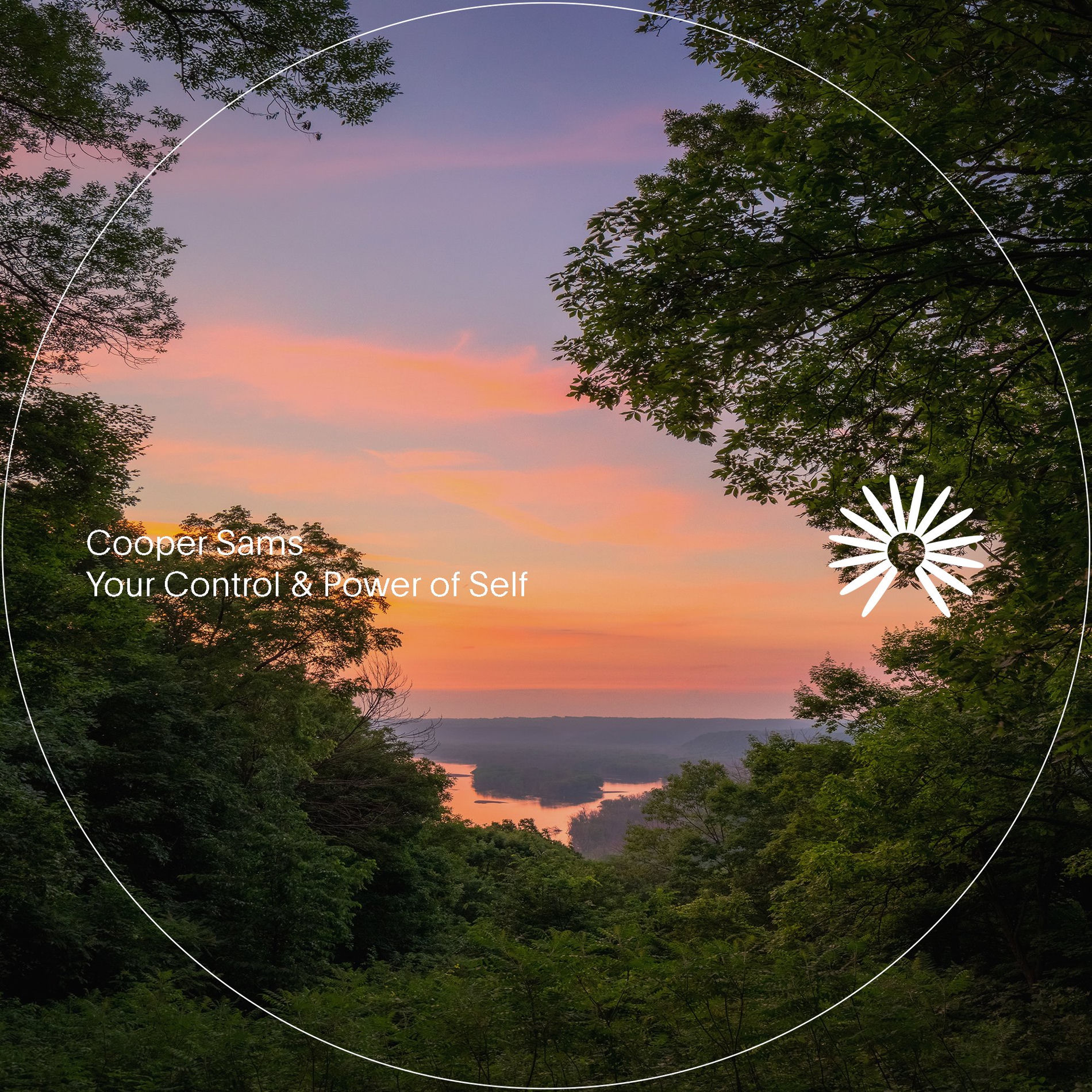 Album cover of Your Control