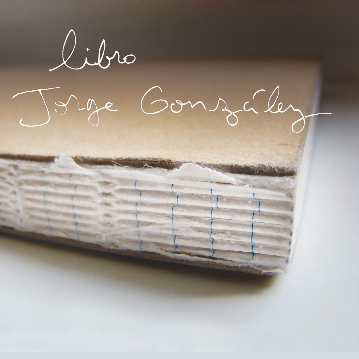 Album cover of Libro