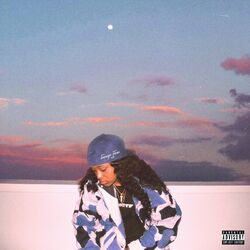 Cover of Teenage Fever