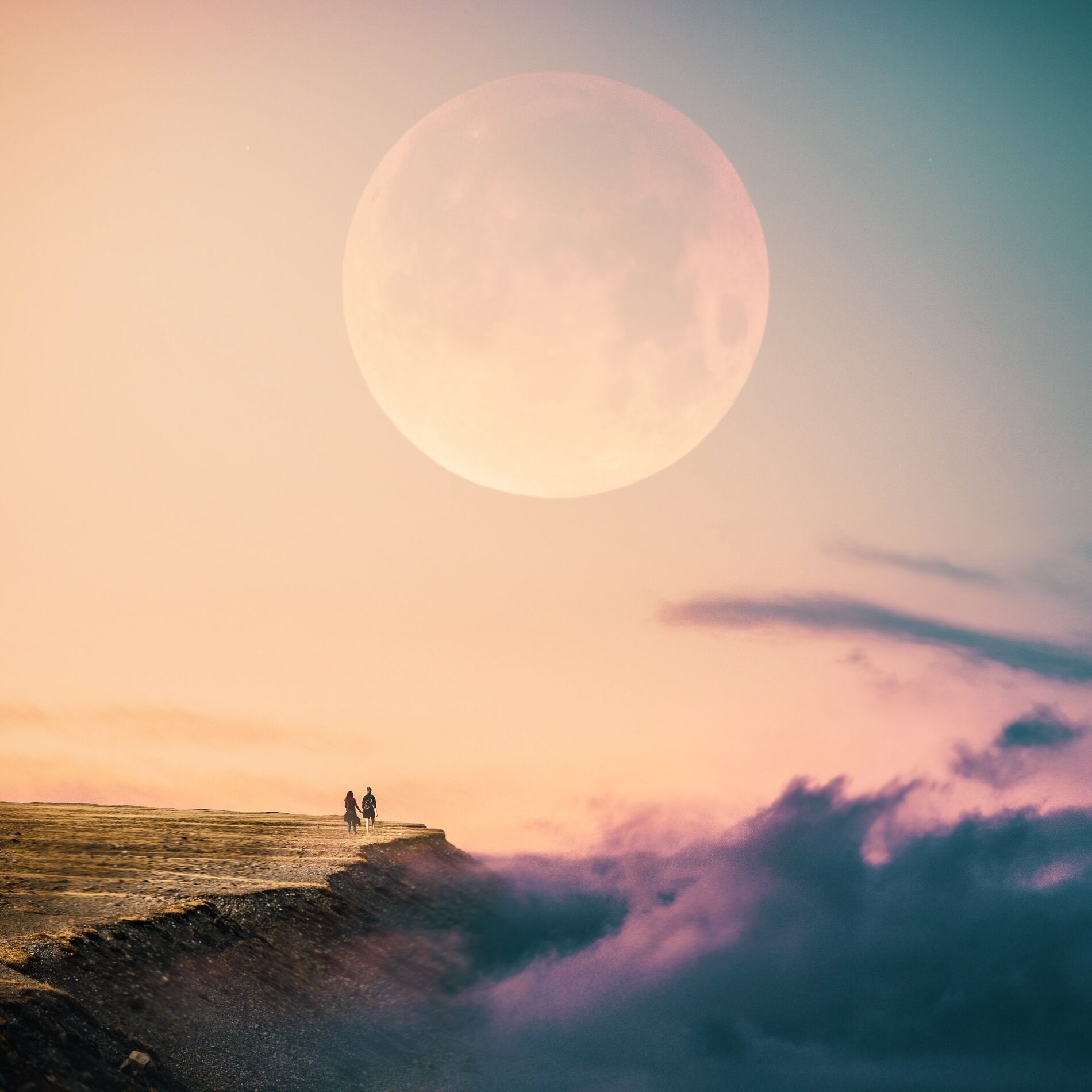 Album cover of The Image of Life