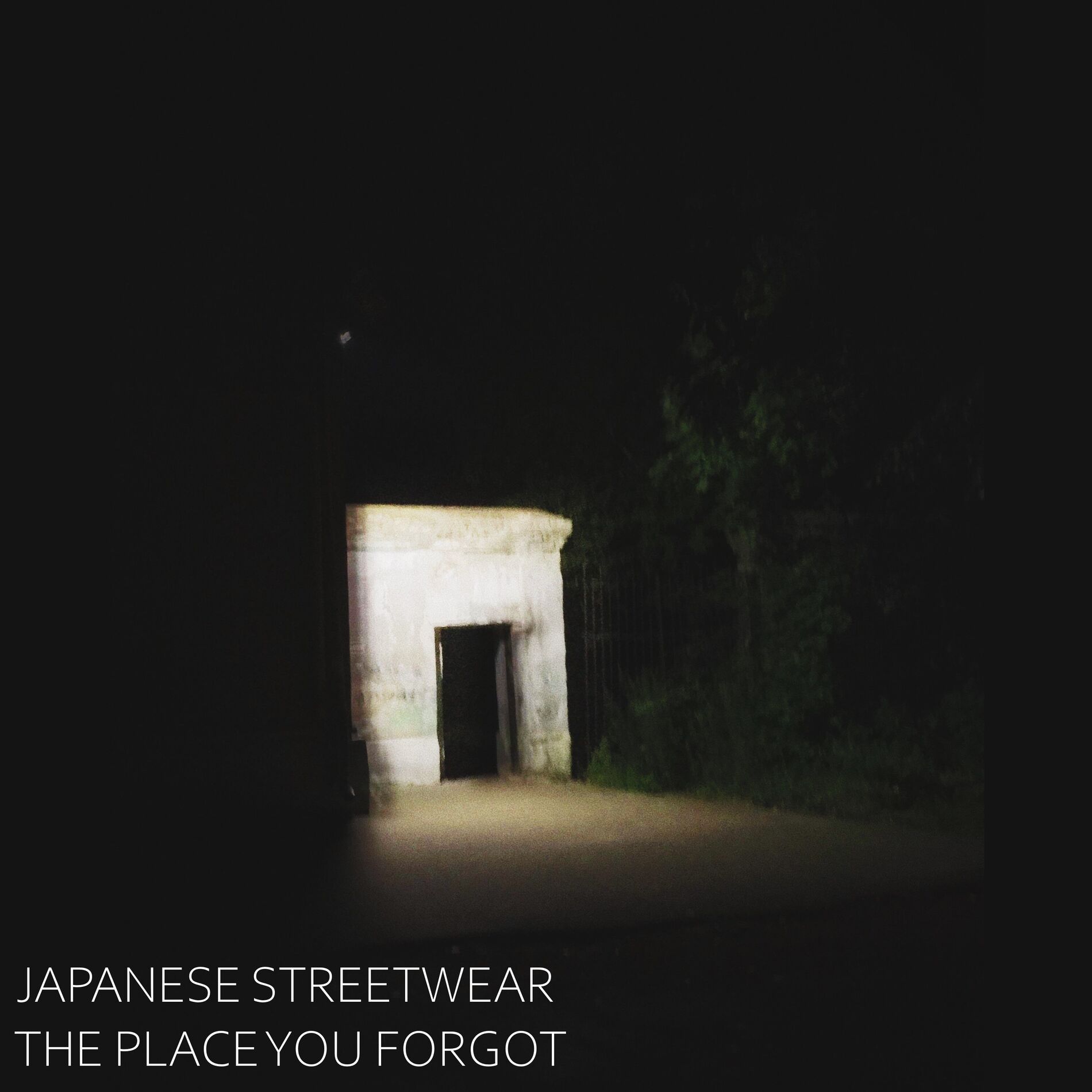 Album cover of The Place You Forgot