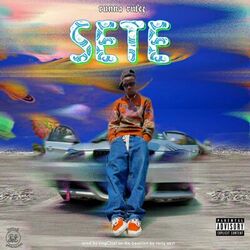 Cover of SETE