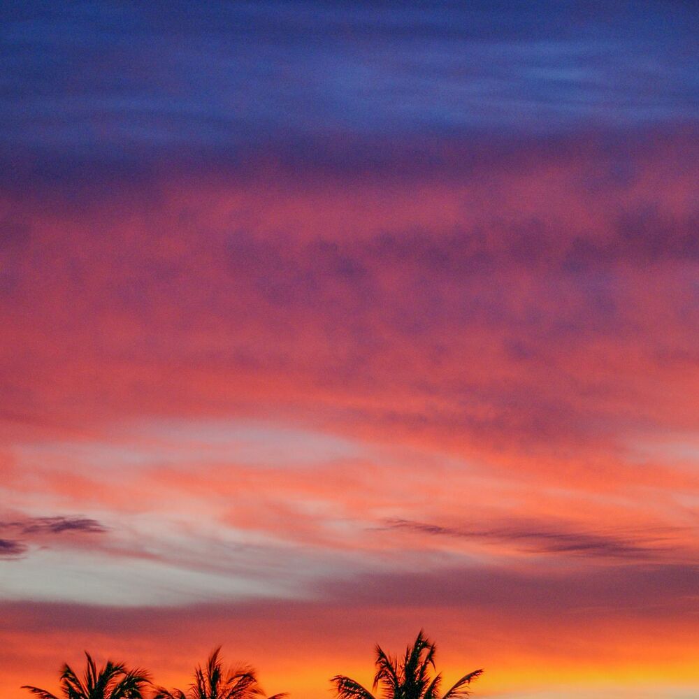 Picture of 50 Coastal Views:Sunsets & Sunrises