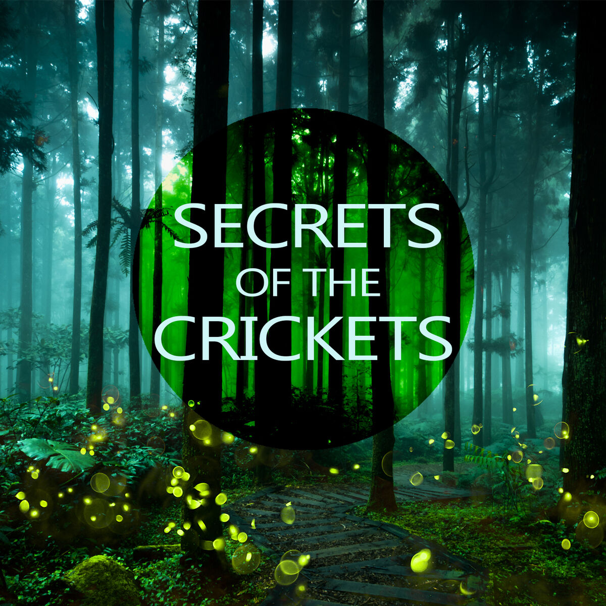 Album cover of Secrets of the Crickets
