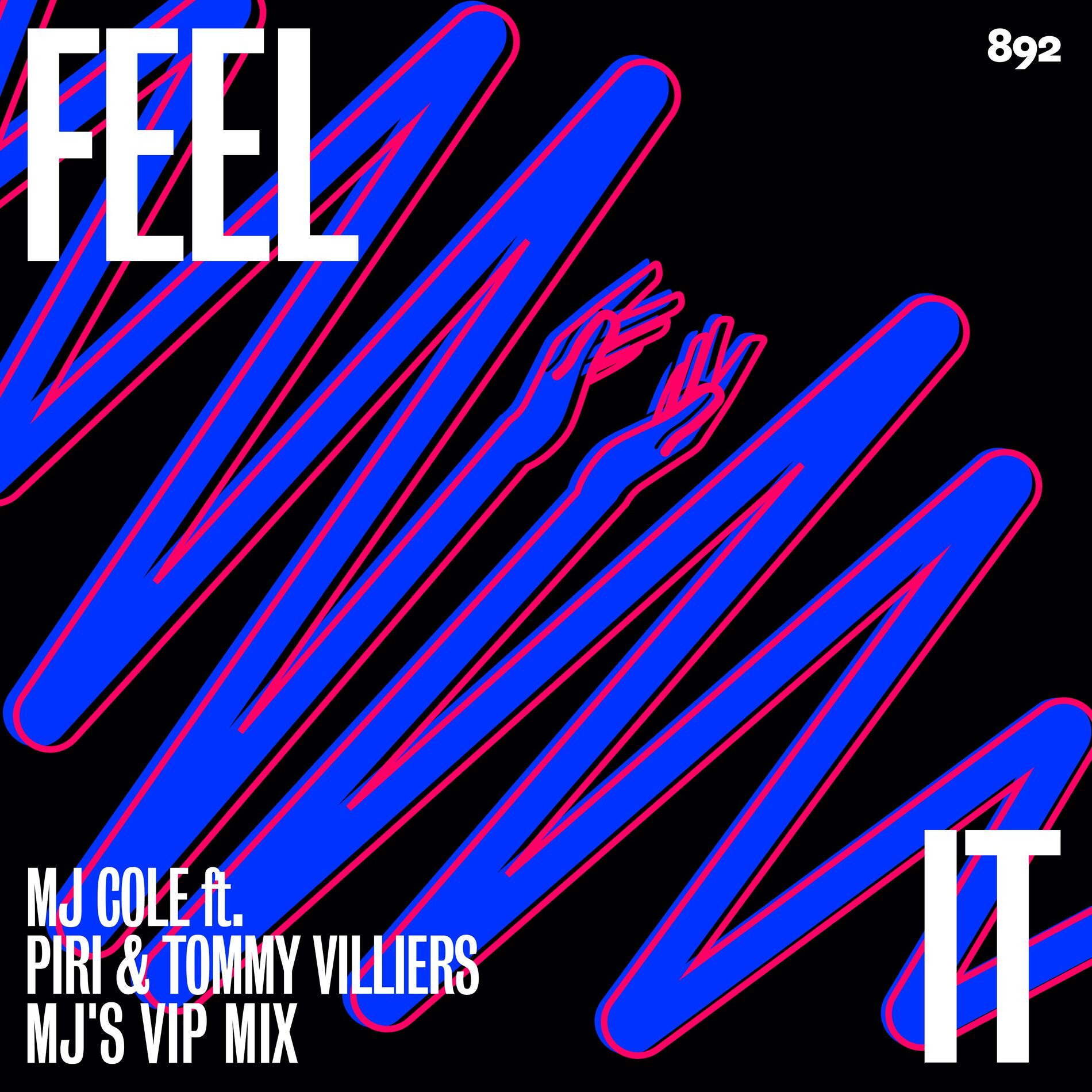 Album cover of Feel It (VIP Mix)