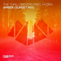 Cover of Amber (Sunset Mix)