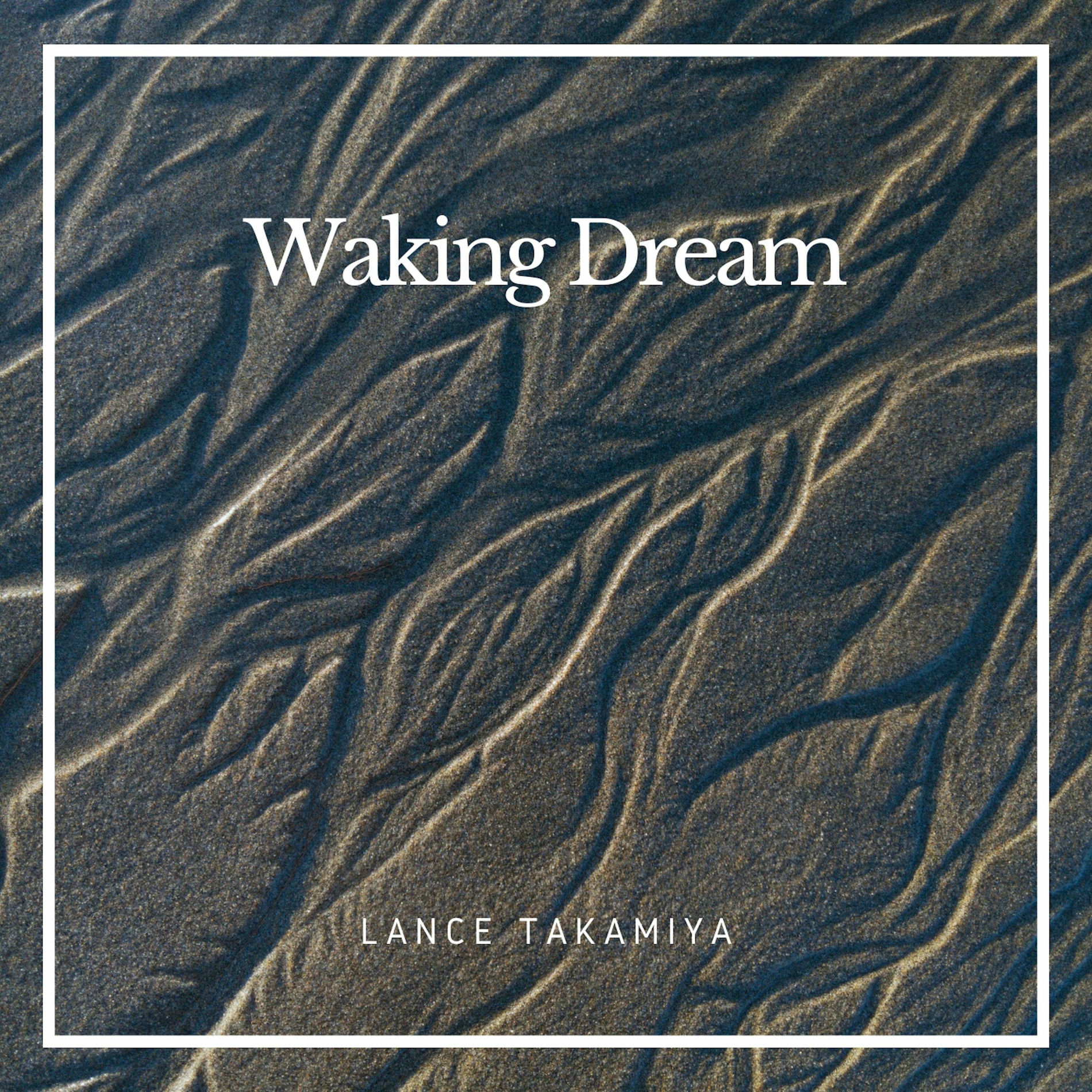 Album cover of Waking Dream