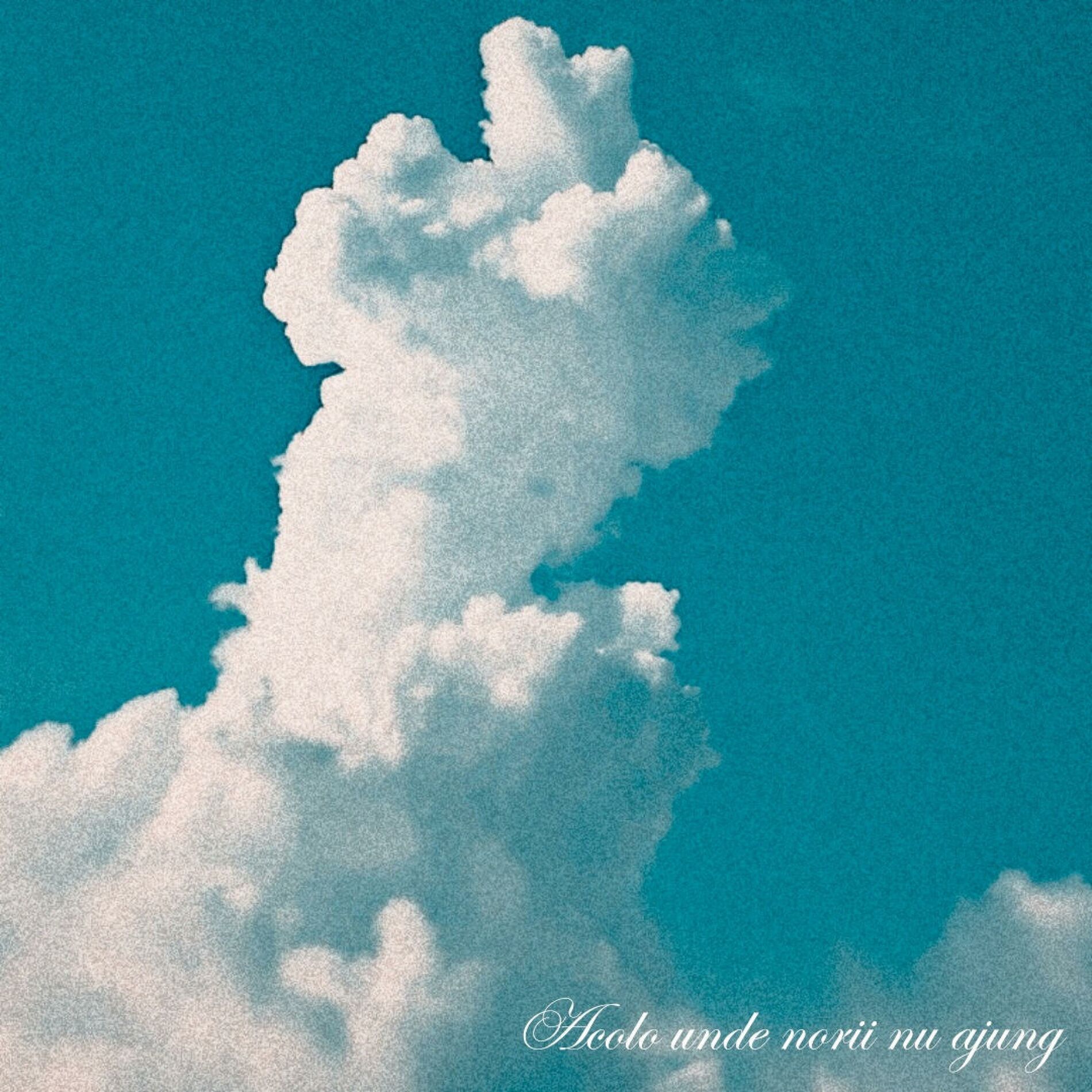 Album cover of Acolo unde norii nu ajung